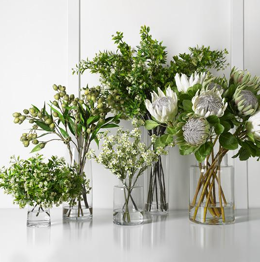 © Eucalyptus gum nut gold detail