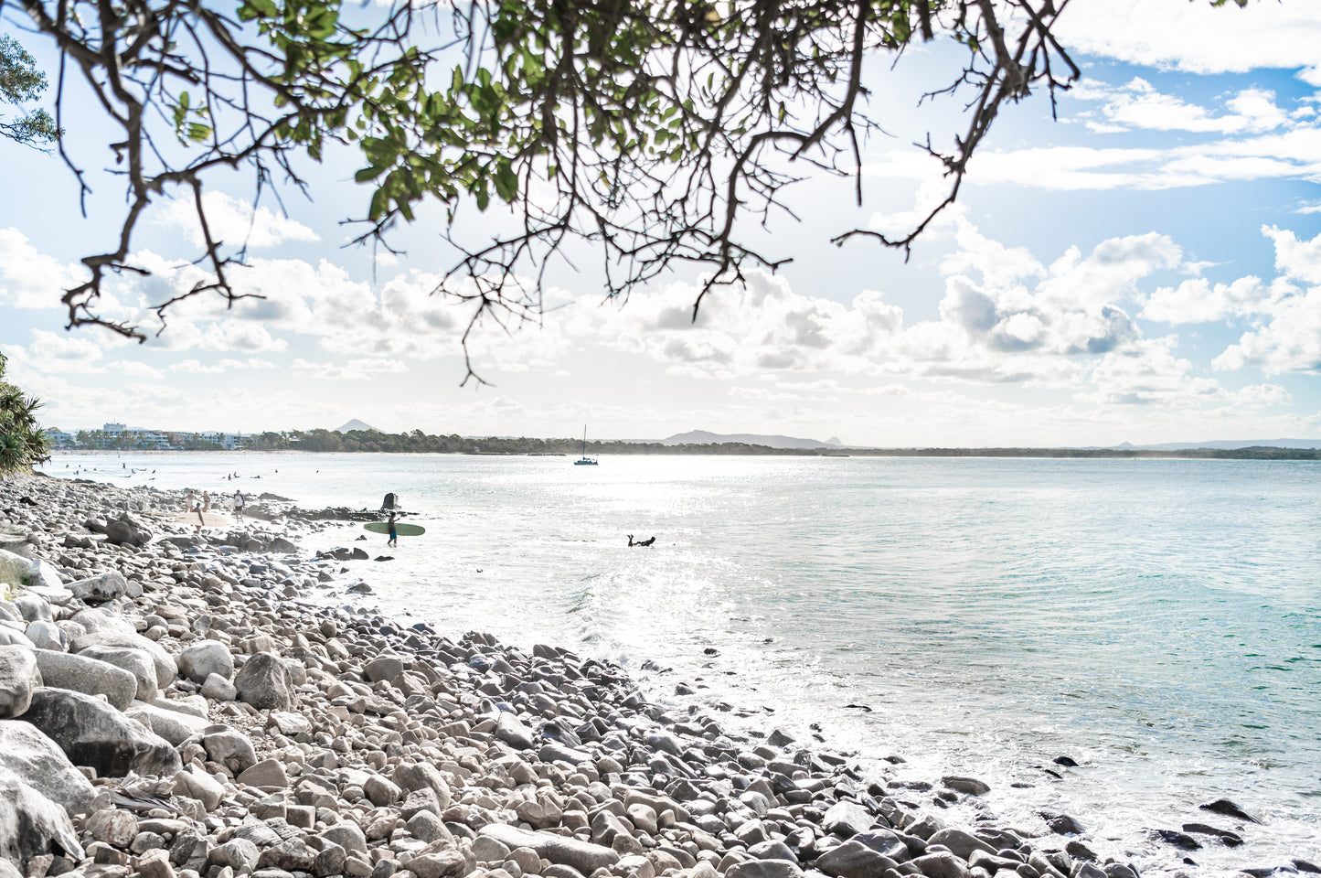 Under The Noosa Tree Print (JMF)