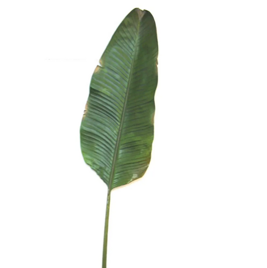 © Banana leaf 1.7m green