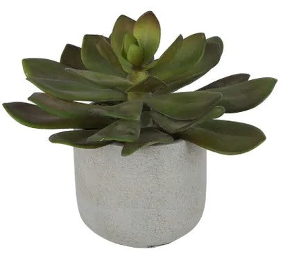 ©  Faux Plant Desert Succulent 20cm